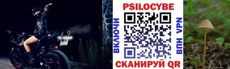 Псилоцибиновые грибы Psilocybine cubensis  закладки  Светлогорск 